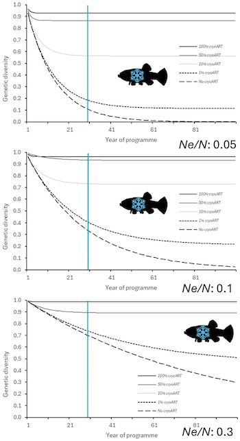 Tres gráficos de líneas comparan la diversidad genética frente a los años de un programa, con siluetas de peces con un copo de nieve azul
