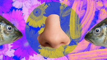 Mientras se recupera el circuito