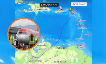 El vuelo debió desviar su
