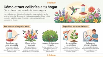 Infografía con consejos para atraer colibríes: bebedero con agua azucarada, flores coloridas, arbusto, rociador de pesticidas tachado, y persona limpiando bebedero.
