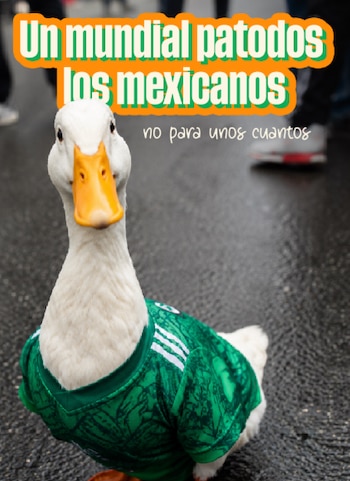 memes Pato Merlín