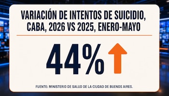 El ministro de Salud porteño explicó que las cifras oficiales de suicidio no reflejan todos los casos de autolesión e intentos que no terminan en muerte (Captura de video)