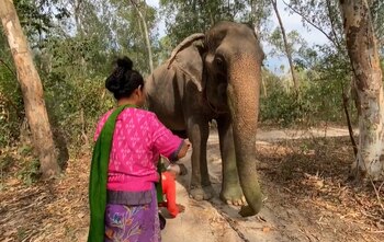 Som Boon recibió un baño
