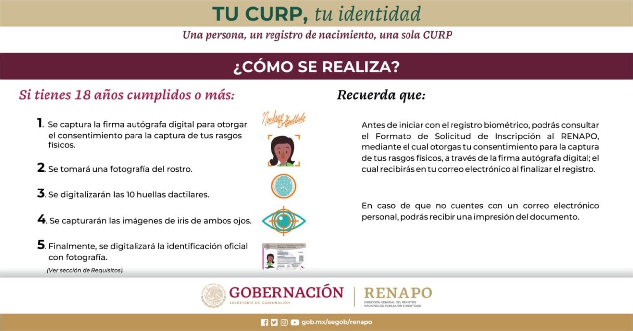 Una infografía del gobierno mexicano explica los pasos para el registro biométrico de la CURP, incluyendo la captura de firma digital, rostro, huellas dactilares, iris e identificación oficial. (RENAPO)