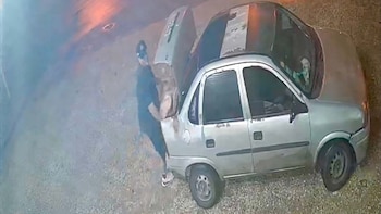 Un grupo de delincuentes hizo