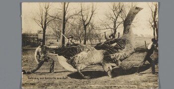 Obras de empresas como Martin