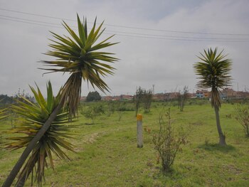 El hallazgo del cuerpo sin