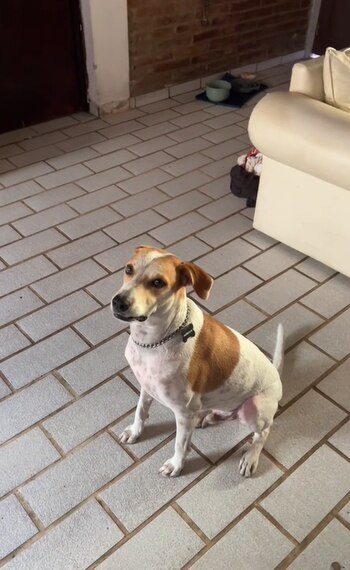 Su reacción atrajo a miles