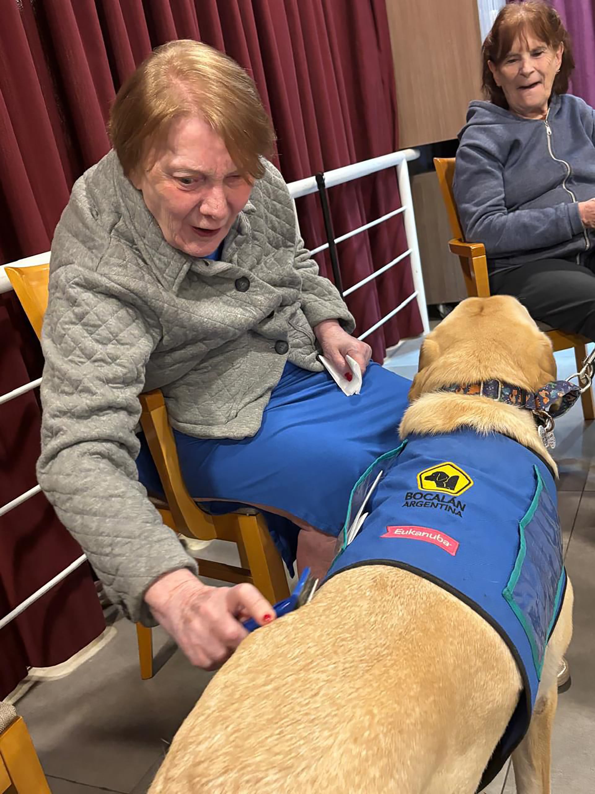 Los perros son seleccionados por su carácter, luego entrenados y, si van a permanecer en la residencia, se hace una adaptación