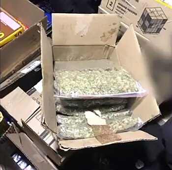 La disidencia sexta de las