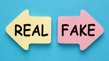 ¿Qué significa ‘fake’ y por