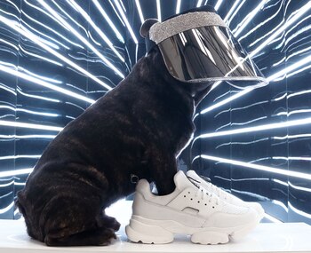 Hasta Elvis @medicenelvis, el famoso