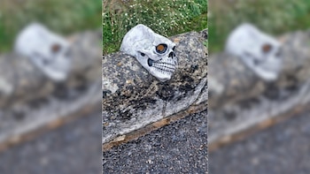 La calavera encontrada en el
