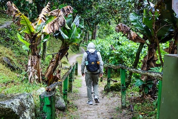 El Ministerio de Cultura articula acciones con empresas ferroviarias y el SERNANP para sostener el flujo turístico.