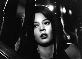 "Ritmo, amor y juventud" es