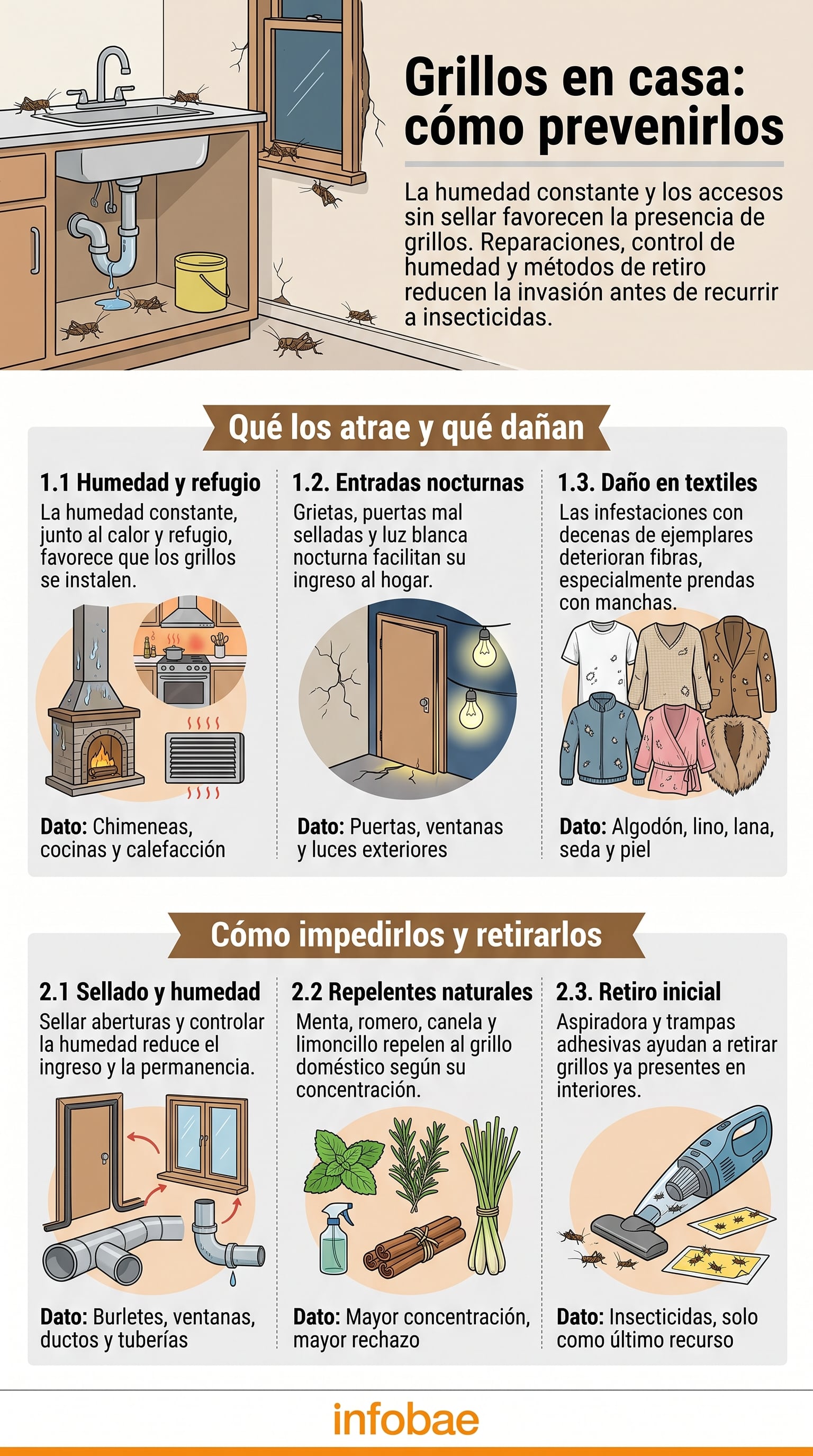 Sellar el hogar es la medida preventiva más recomendada por especialistas en control de plagas. (Imagen Ilustrativa Infobae)
