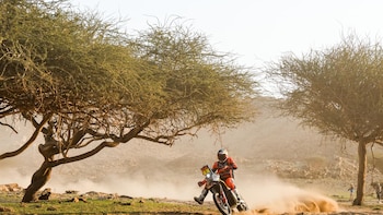 AV. Daniel Sanders afianza su