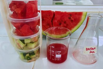 El potencial de los bioinsumos