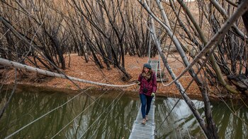 Turismo post pandemia: Parque Patagonia,