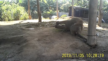 Recién llegados a los campamentos,