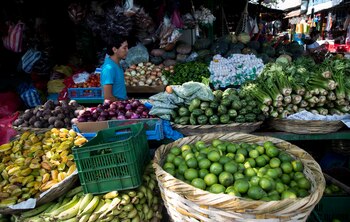 Un joven vende verduras en Managua (Nicaragua). Fotografía de archivo. EFE/ Jorge Torres