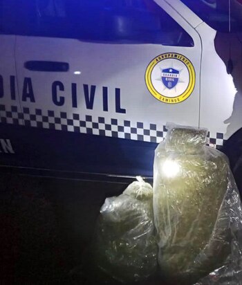 Michoacán 15 kilos de marihuana dos detenidos en Zamora