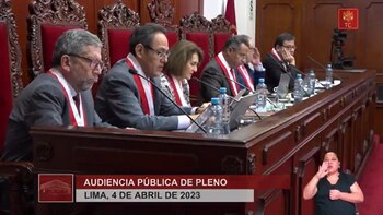 El Pleno del Tribunal Constitucional