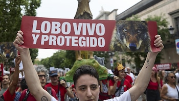 Las ONG ecologistas ven "pocos