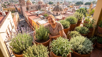 Cómo elegir plantas que requieren poca agua para tu balcón