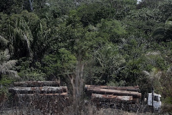 La combinación de vigilancia y