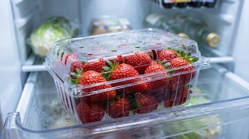 Un recipiente de plástico transparente con gotas de condensación contiene fresas rojas en el cajón de un refrigerador.
