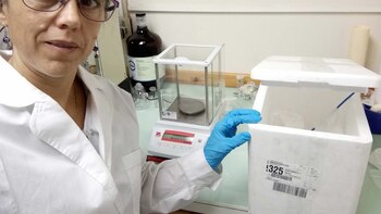 La científica Adriana Serquis fue