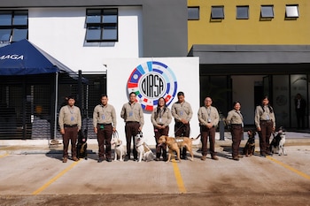 Siete personas uniformadas y seis perros de detección, incluyendo labradores y pastores alemanes, posan frente a un edificio blanco y amarillo con el logo de OIRSA y una carpa azul