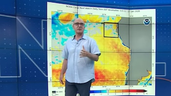 Día Mundial del Hombre del