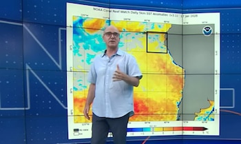 El rol de los presentadores