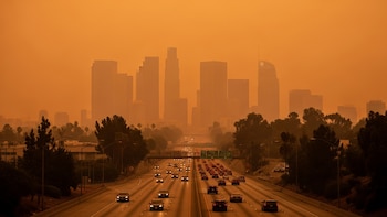 Calor extremo récord en Europa: revelan el papel del cambio climático y la presión atmosférica