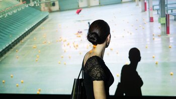 La muestra está compuesta por