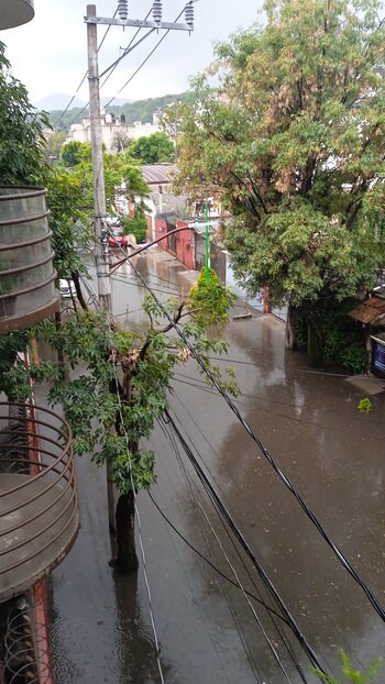 Tlalpan fue la alcaldía más