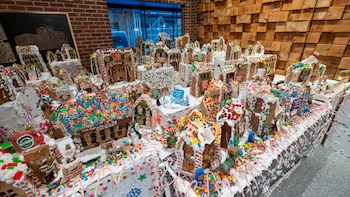 La exposición gratuita ocupa 25