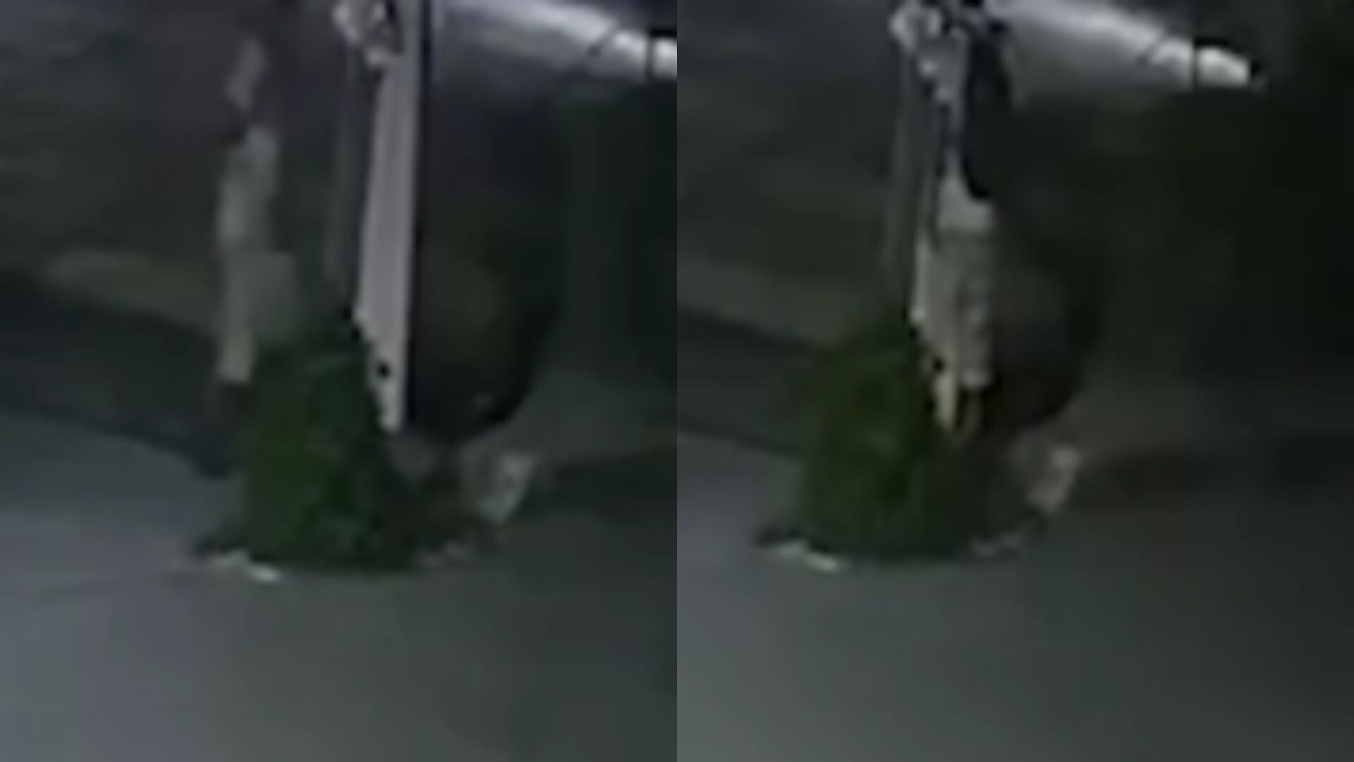 Tras el crimen han sido revelados videos del presunto asesino luego del ataque. Crédito: Redes Sociales