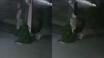 Caso Claudia Tacoronte: sale a la luz un video en donde se observa al presunto asesino. Captura de pantalla