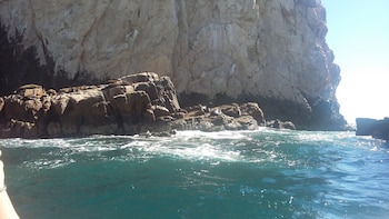 Lobos marinos debajo de "El