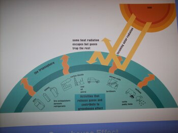 Toda Australia está tapizada de