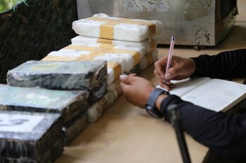 El negocio ilegal, según lo que reza en los documentos, tendría una finca como elemento clave en la red - crédito archivo Colprensa / Marlon Barros