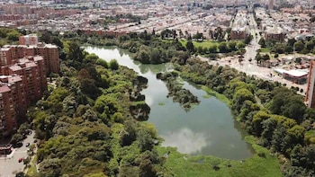 Nuevas especies de plantas invasoras