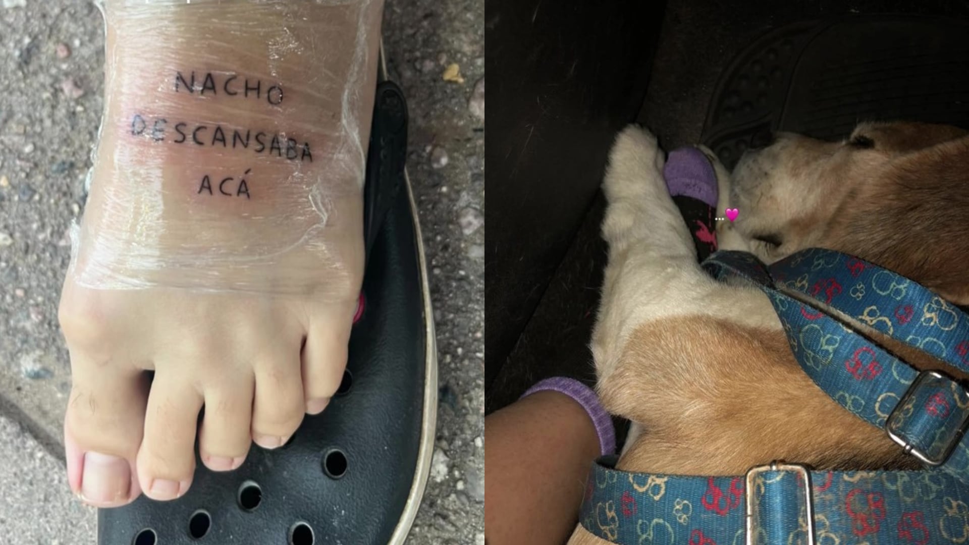 El tatuaje en el empeine recuerda el lugar donde el perro solía descansar y se convirtió en un símbolo del vínculo entre la joven y su mascota (TikTok)