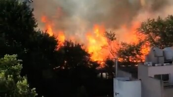 El fuego afecta el local