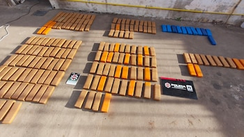 Imputaron a los dueños de la carnicería donde encontraron más de 100 kilos de marihuana en un freezer