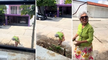 Adulta mayor se pelea con un joven por arrancar plantas en Chiapas: las redes la bautizan como ‘Lady Semillas’