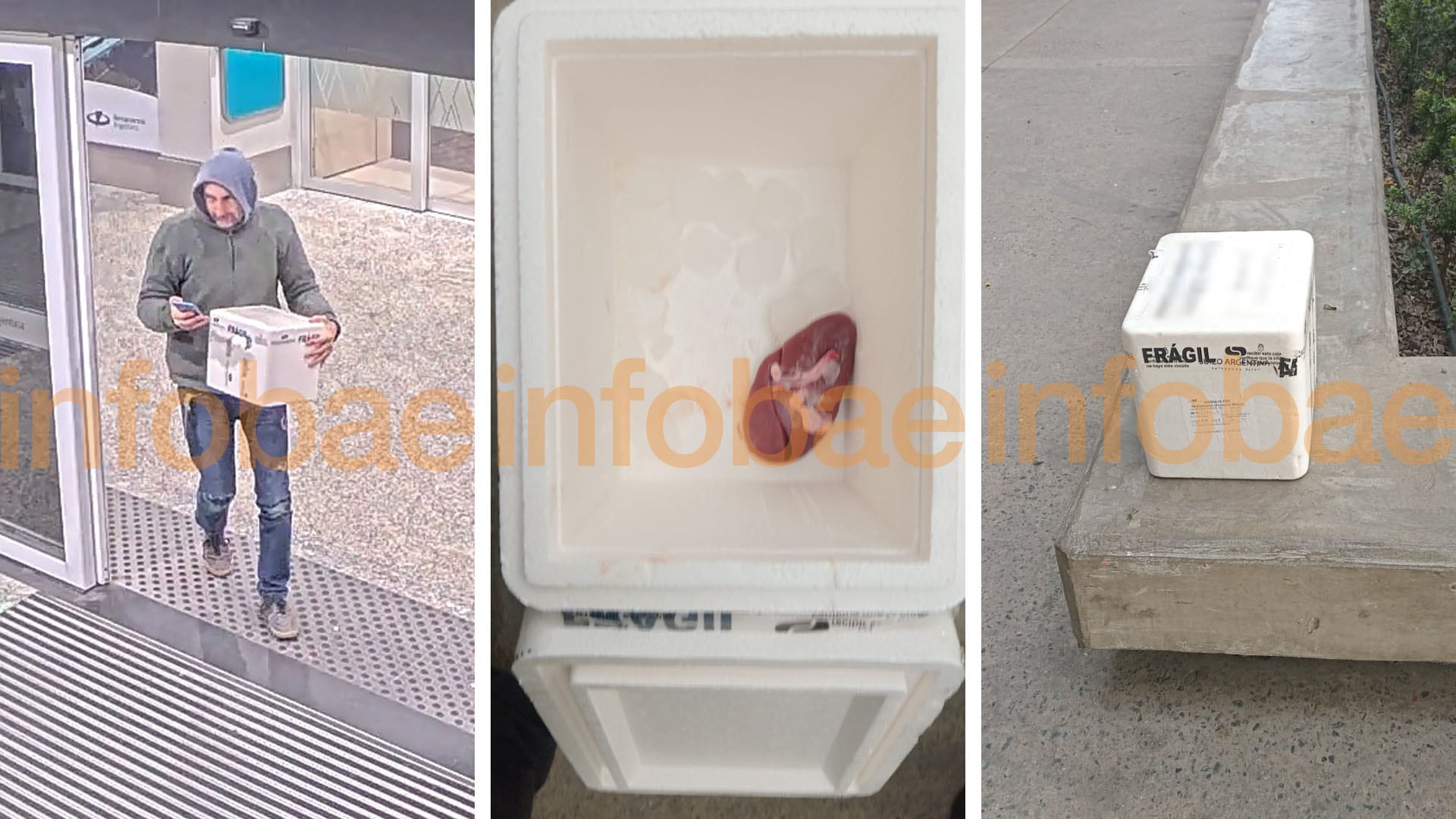 Según declaró Fagni se trató de un chiste: él y su amiga habían bromeado sobre la cantidad de alcohol que ella había consumido durante sus vacaciones y la supuesta necesidad de conseguir un hígado nuevo